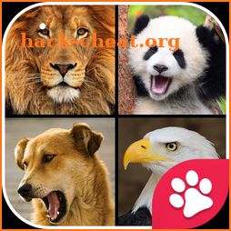 200+ Animal Sounds Real Fun! icon