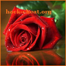 3201 roses & flowers image GIF icon