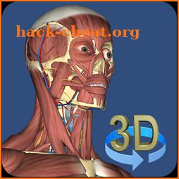 3D Anatomy icon