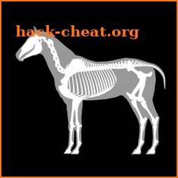 3D Horse Anatomy Software icon