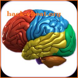 3D Human Brain + icon