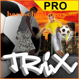 3D Soccer Tricks PRO icon