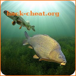 3DCARP icon