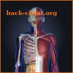 3DHumanAnatomy teamLabBody 2020 icon