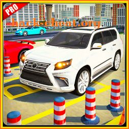 Advance Car parking 2020 icon