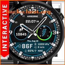 Airborne Watch Face icon