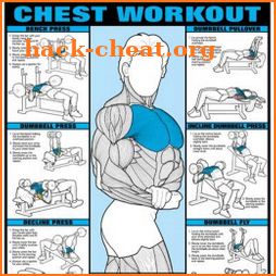 All Chest Exercises icon