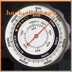 Altimeter professional icon