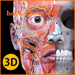 Anatomy 3D Atlas icon