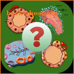 Anatomy Online Quiz: Endocrine System icon