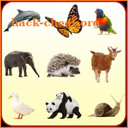 Animals for Kids icon