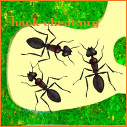 Ant Formicarium Simulator icon