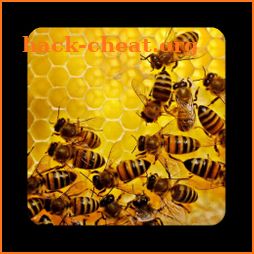 Apiary Book icon