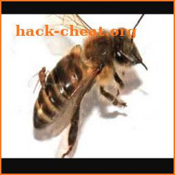 Apiculture icon