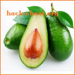 AvoCoda icon