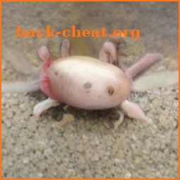 Axolotl icon