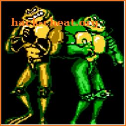 BattleToads icon