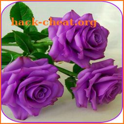 Beautiful flowers and roses pictures Gif icon