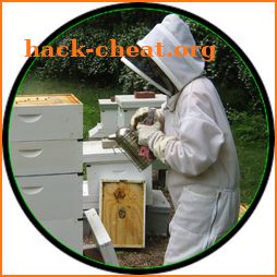 Beekeeping icon