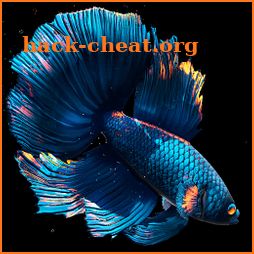 Betta Fish Live Wallpaper FREE icon