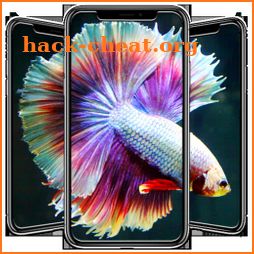 Betta Fish Wallpapers icon