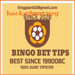 BINGO BETS TIPS icon