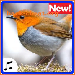 Bird Sound Ringtones amazing, for cell phone icon