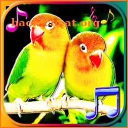 Birds Sounds Ringtones & Live Wallpapers icon