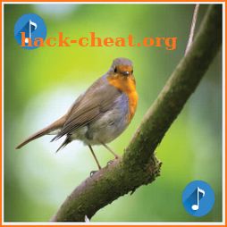 Birds sounds, ringtones birds icon