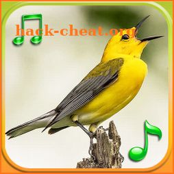 Birds Sounds Ringtones icon