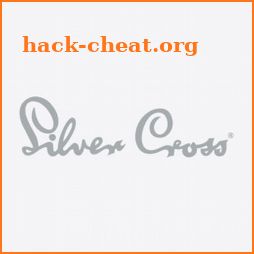 Car Safety Made Simple by Silver Cross icon