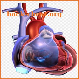 Cardiology & Respiratory Clinical Assessment icon