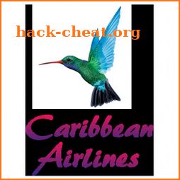 Caribbean Airlines icon