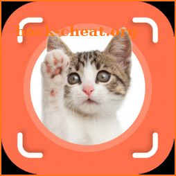 Cat Identifier - Cat Scanner icon