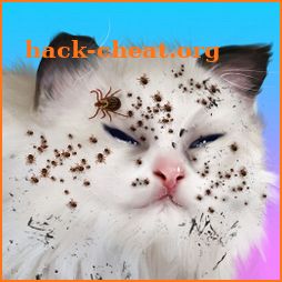 Cat Makeover icon