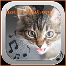 Cat Ringtones – Meow Sounds icon