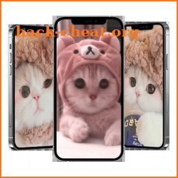 Cat Wallpapers icon