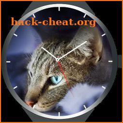 Cats Watch Faces icon