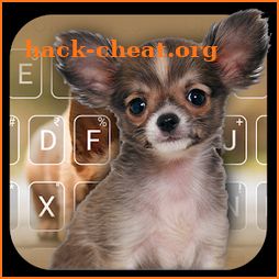 Chihuahua Cute Puppy keyboard Theme icon