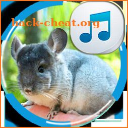 Chinchilla Sounds icon