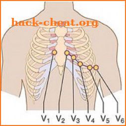 Clinical ECG Guide. icon