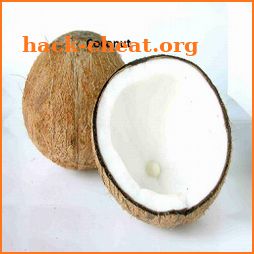 Coconut icon