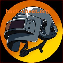 Companion for PUBG icon