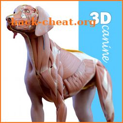 Complete Canine 3D - anatomy icon