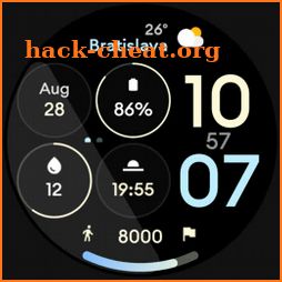 Control Dash: Wear OS face icon