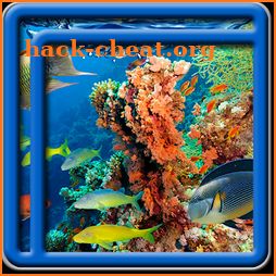 Coral Reef Live Wallpapers icon