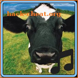 Cow Sounds icon