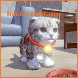 Cute kitten Cat Virtual Pet icon