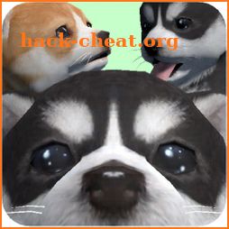 Cute Pocket Puppy 3D - Part 2 icon