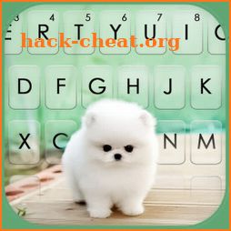 Cute Teacup Puppie Keyboard Background icon